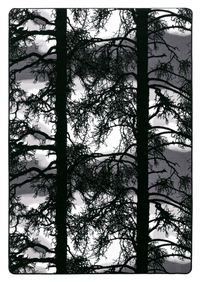 109409-69; Vallila Kelohonka-matto Harmaa / 160x230 cm 